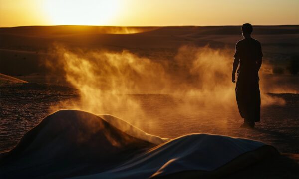 Desert Silhouette at Sunset Desert Silhouette at Sunset